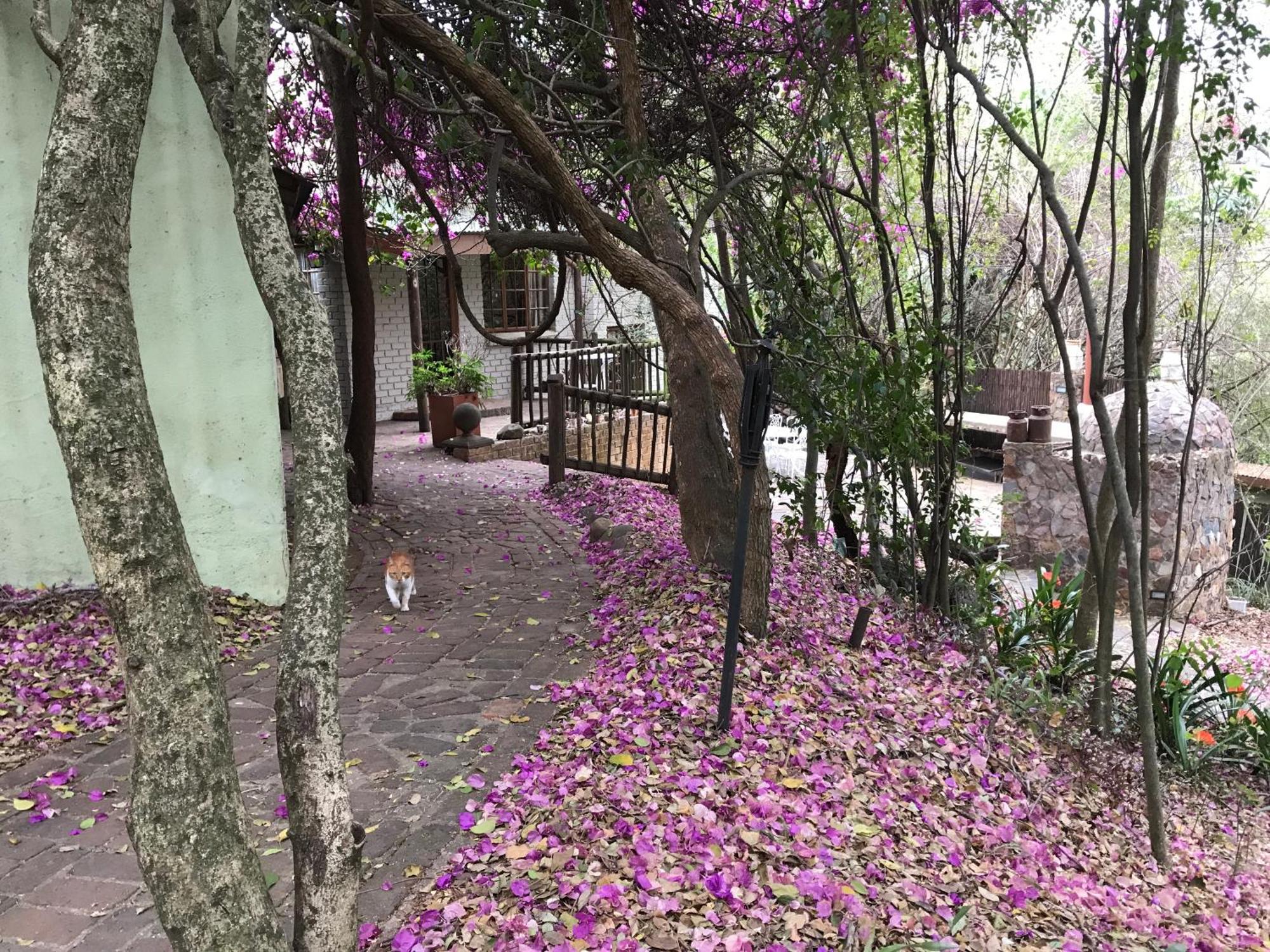 Old Joe'S Kaia Hotel Shoemanskloof Buitenkant foto